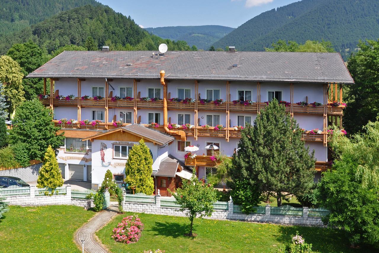 Wellnesshotel Paradiesquelle Puchberg am Schneeberg Exteriör bild